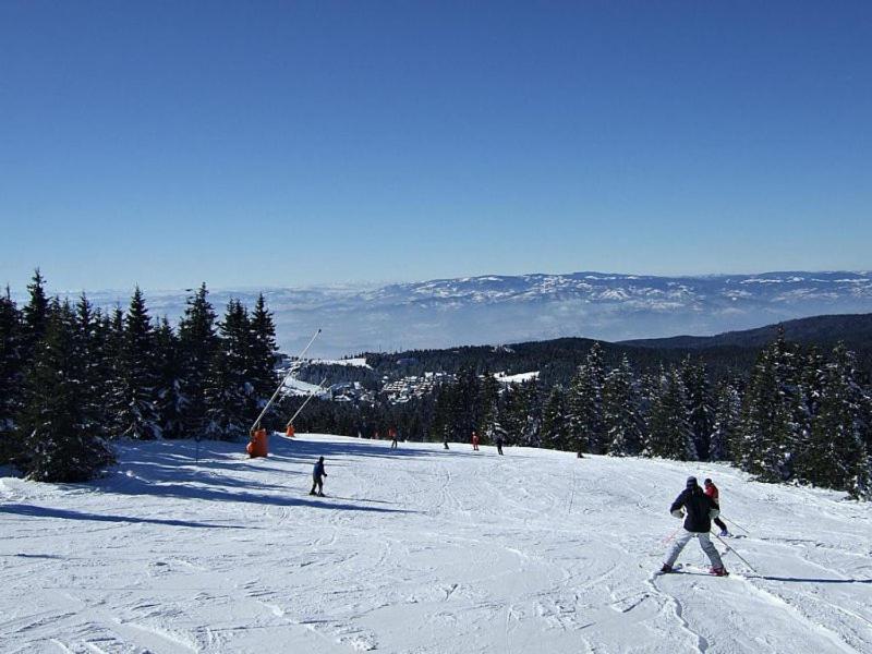L&N Apartmani Kopaonik-Milmari Resort Exteriér fotografie