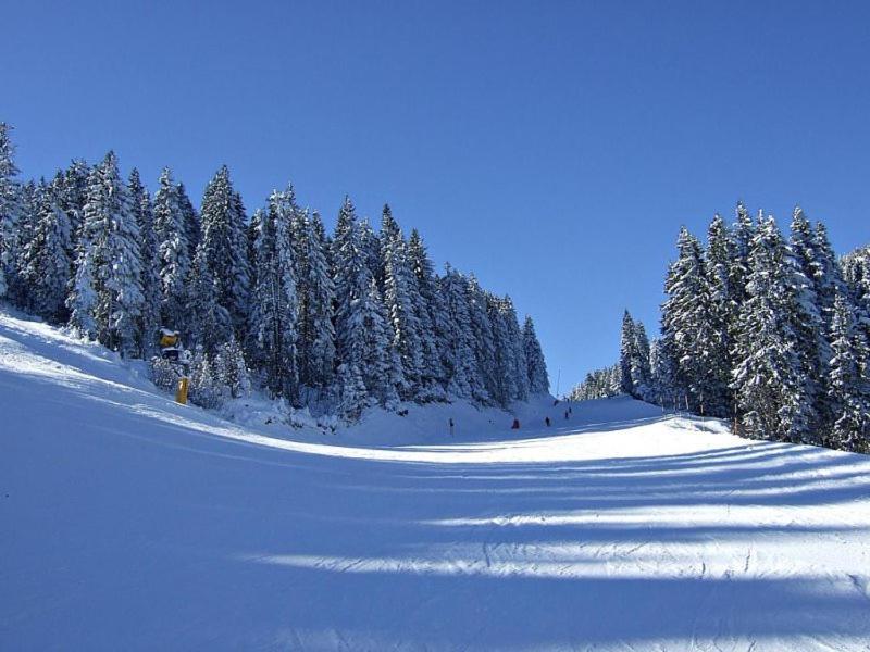 L&N Apartmani Kopaonik-Milmari Resort Exteriér fotografie