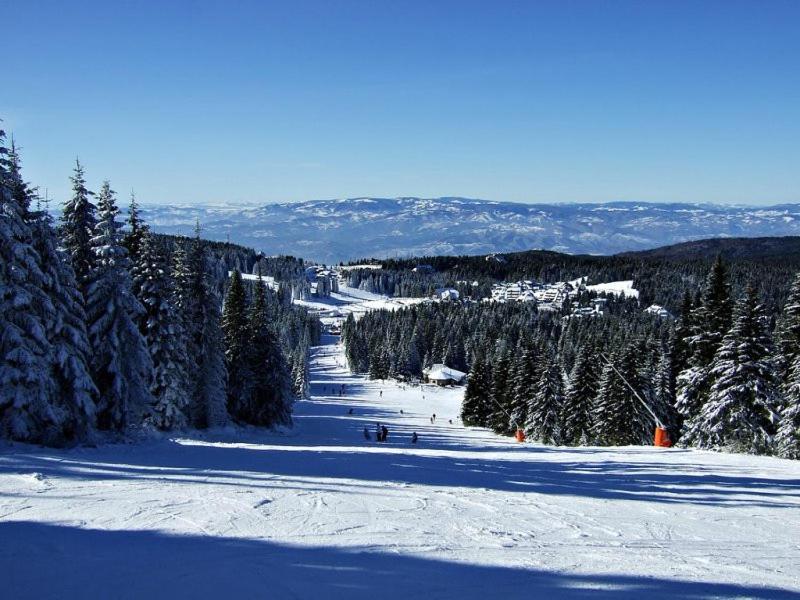 L&N Apartmani Kopaonik-Milmari Resort Exteriér fotografie